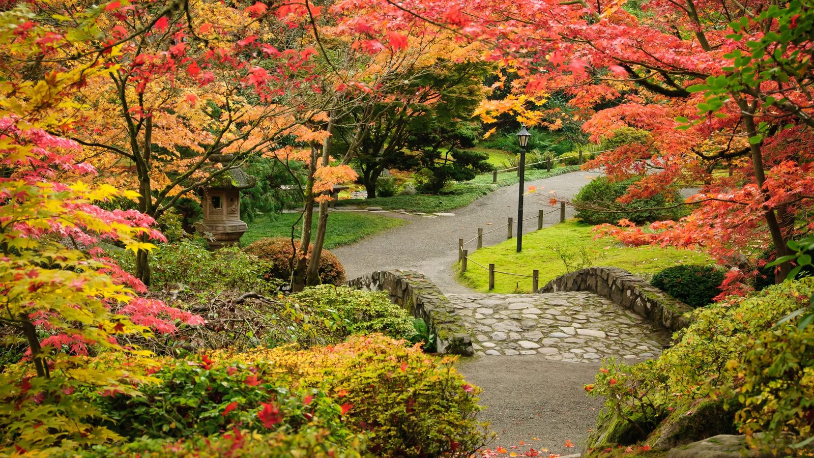 Arboretum in Fall